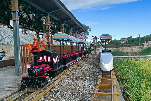 cost metal riding train for outdoors